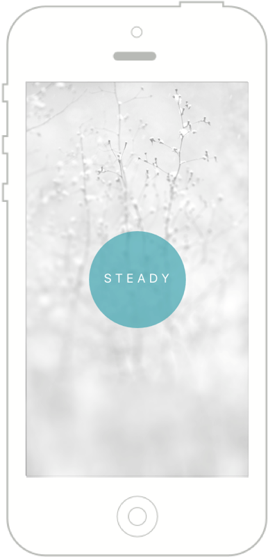 steady-final