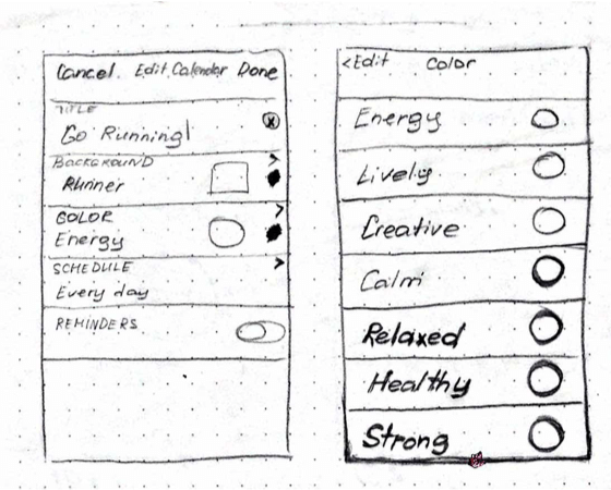 steady-wireframes-desktop